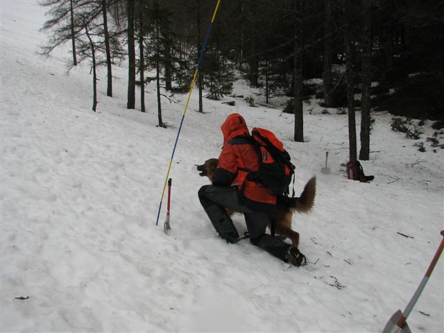 lavinci_izpiti_ljubelj_20090329_0171 lavinci_izpiti_ljubelj_20090329_0171