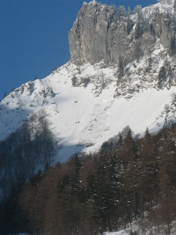 snezni_plaz_zelenica_2010_20100214_0469 snezni_plaz_zelenica_2010_20100214_0469