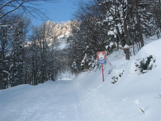 snezni_plaz_zelenica_2010_20100214_0487 snezni_plaz_zelenica_2010_20100214_0487