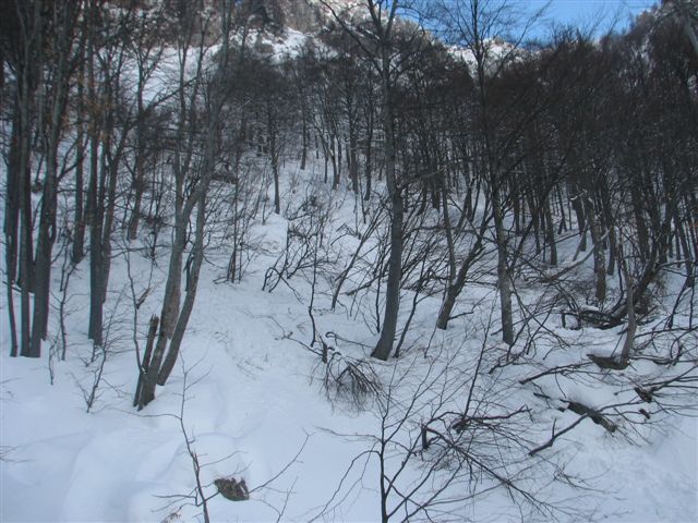 snezni_plaz_zelenica_2010_20100214_0493 snezni_plaz_zelenica_2010_20100214_0493