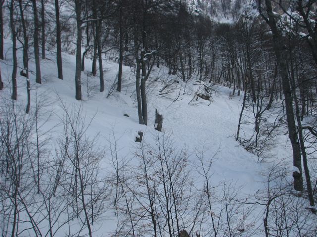 snezni_plaz_zelenica_2010_20100214_0497 snezni_plaz_zelenica_2010_20100214_0497
