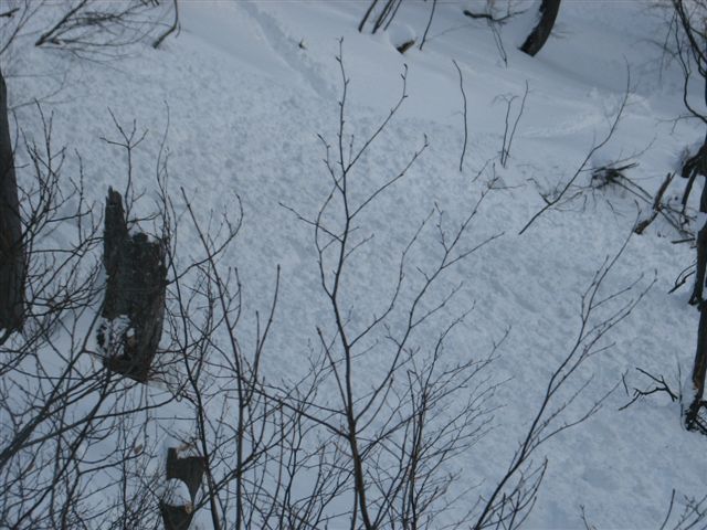 snezni_plaz_zelenica_2010_20100214_0498 snezni_plaz_zelenica_2010_20100214_0498