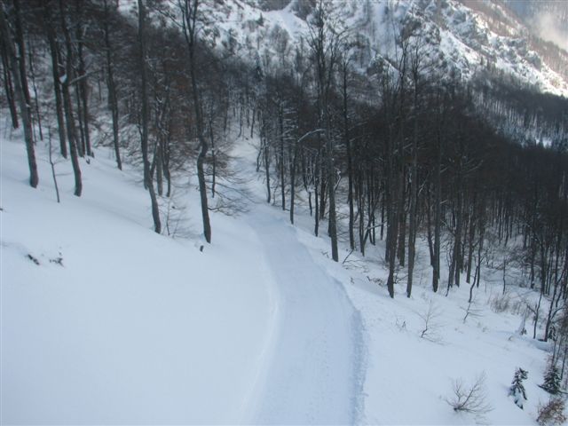 snezni_plaz_zelenica_2010_20100214_0503 snezni_plaz_zelenica_2010_20100214_0503