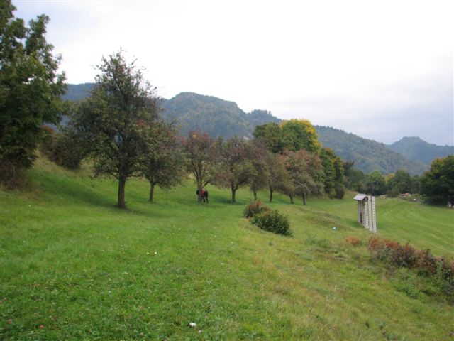 gps_vaja_2008_5 gps_vaja_2008_5